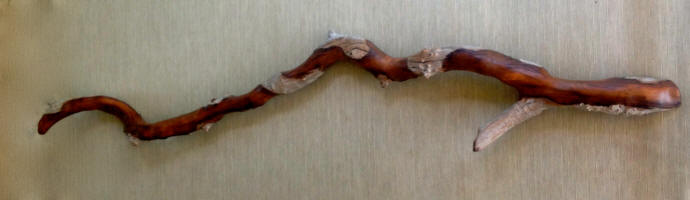 Faiwani carved by Guy Breay