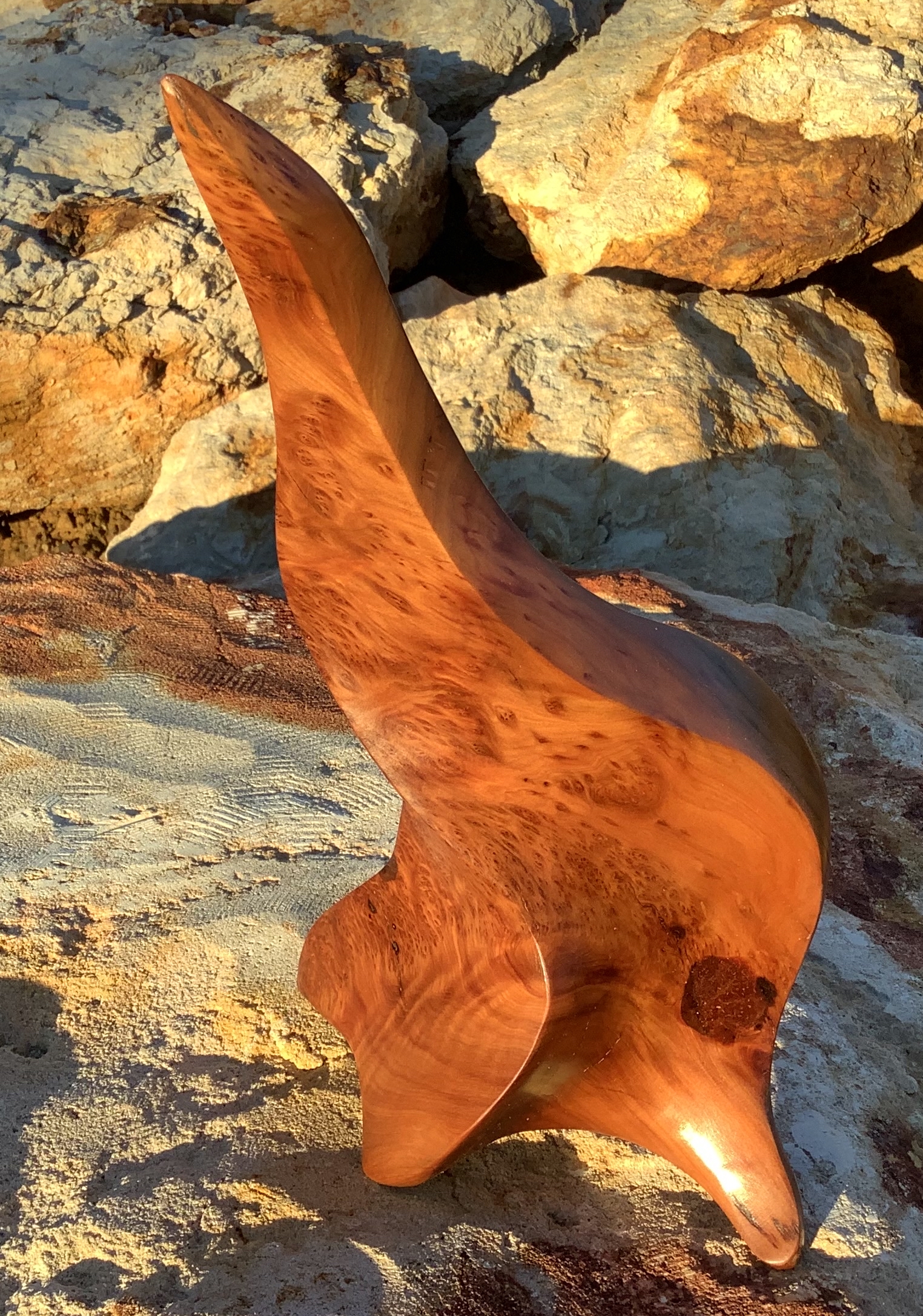 The Perforrmer Carved by Guy Breay