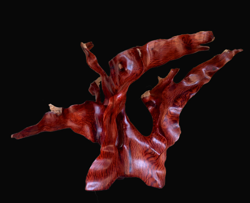 Flash of Lightning carved by Guy Breay